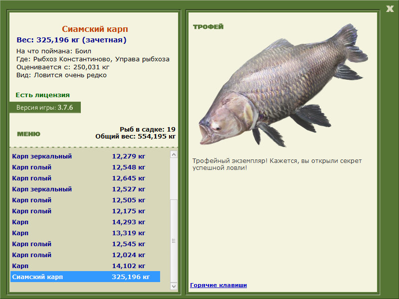 Сиамский карп 