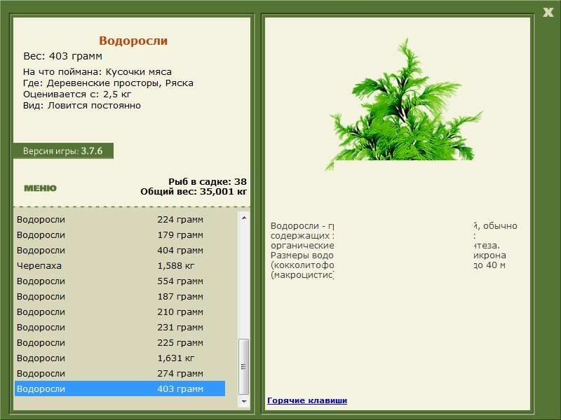 турниры • РУССКАЯ РЫБАЛКА