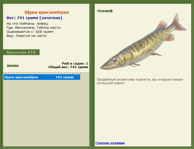 турниры • РУССКАЯ РЫБАЛКА