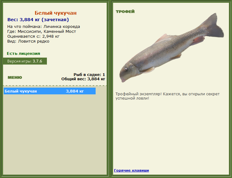 турниры • РУССКАЯ РЫБАЛКА