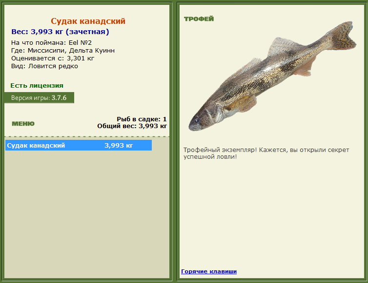 турниры • РУССКАЯ РЫБАЛКА