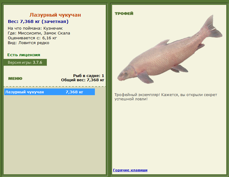 турниры • РУССКАЯ РЫБАЛКА