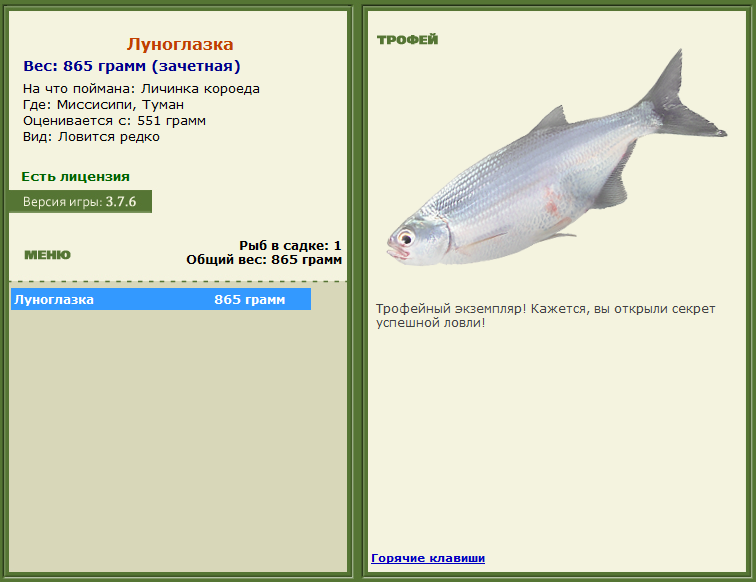турниры • РУССКАЯ РЫБАЛКА