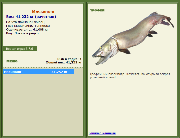 турниры • РУССКАЯ РЫБАЛКА