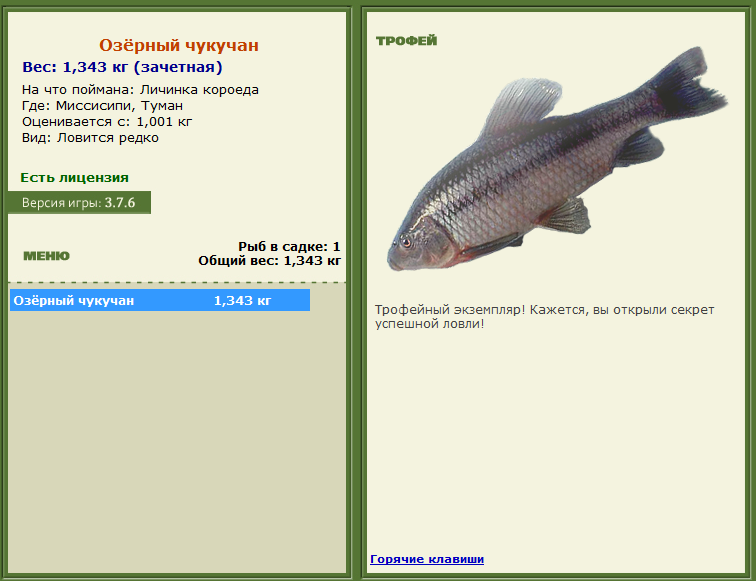 турниры • РУССКАЯ РЫБАЛКА