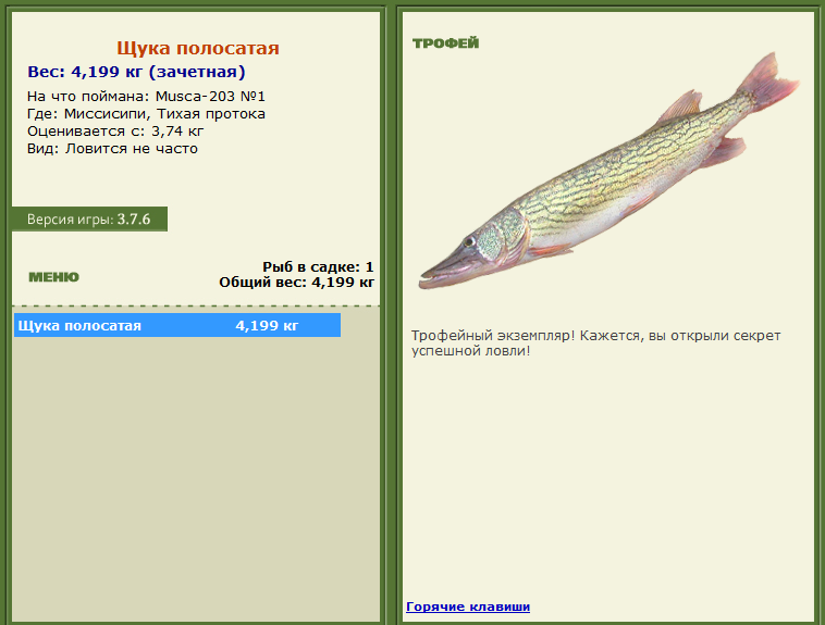 турниры • РУССКАЯ РЫБАЛКА