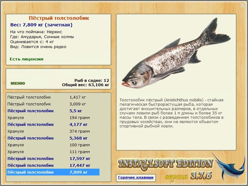 турниры • РУССКАЯ РЫБАЛКА