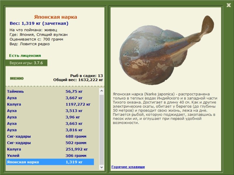 Спящий вулкан 