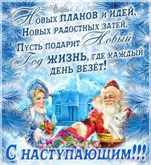  Мои два шелте-лиса и серый кот.