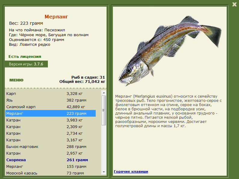 Мерланг 