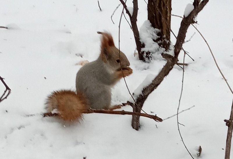 Сегодняшний день