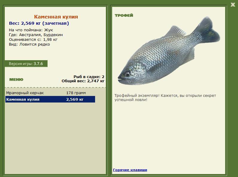 Бурдекин 