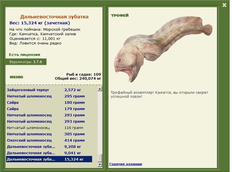 Дальневосточная зубатка 