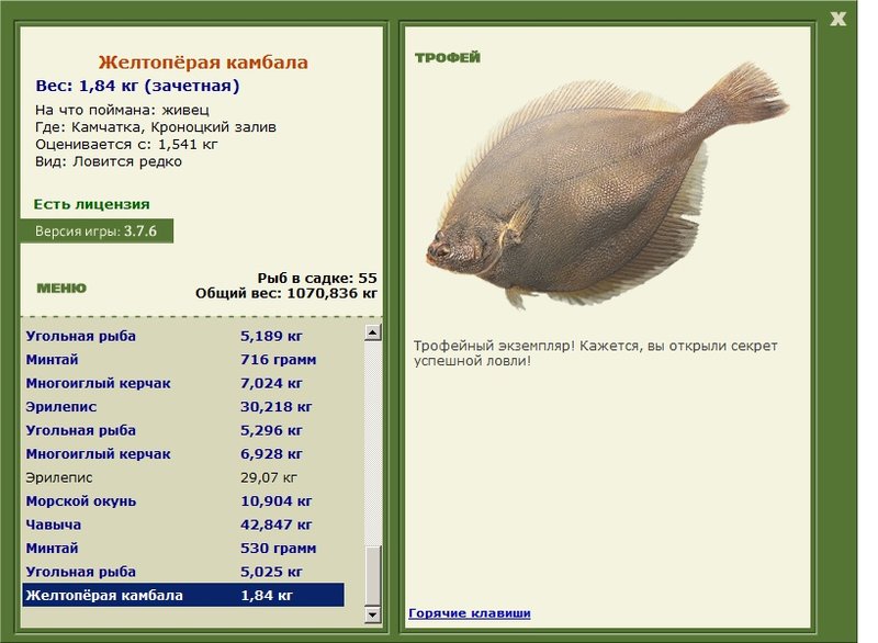 Кроноцкий залив 