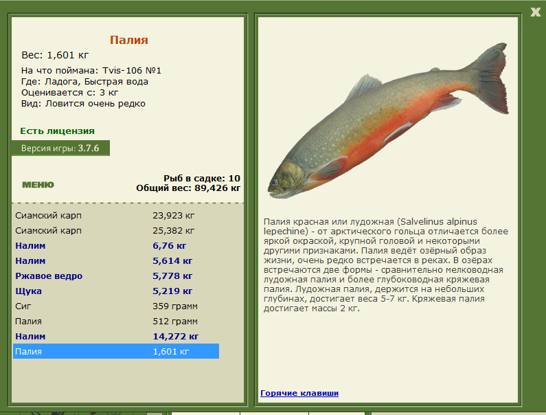 турниры • РУССКАЯ РЫБАЛКА