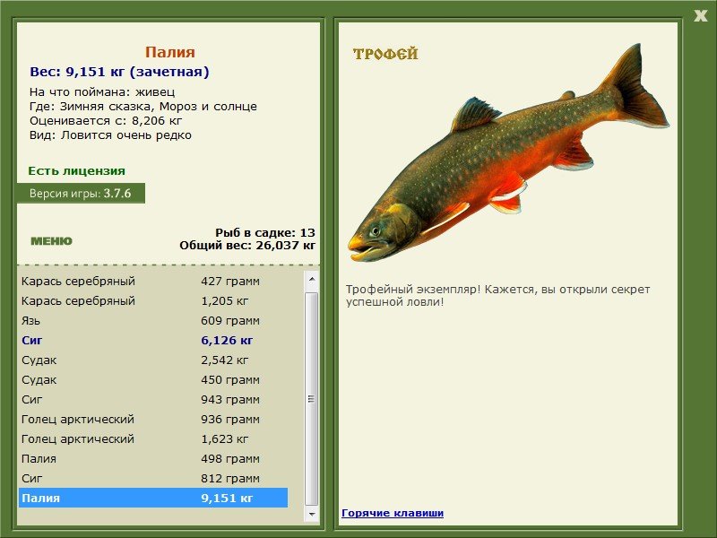 Палия 