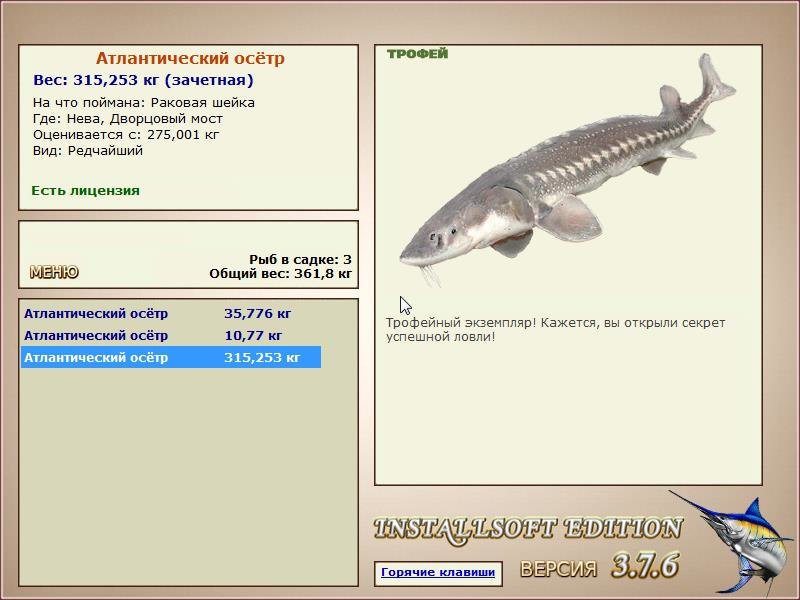 Дворцовый мост 
