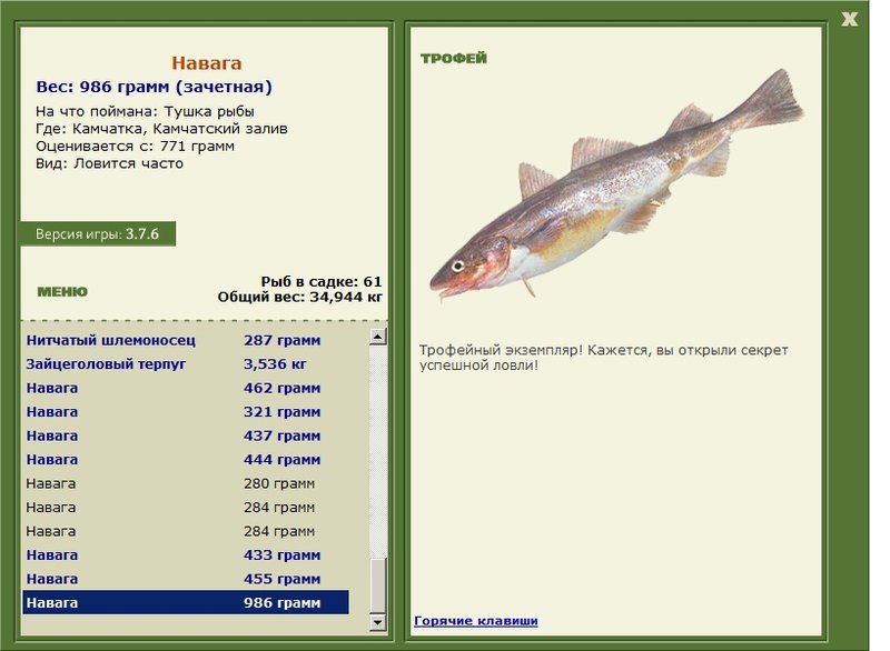 Камчатский залив 