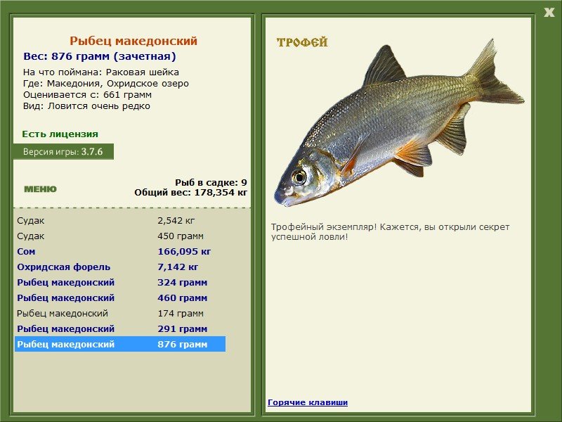 Охридское озеро 