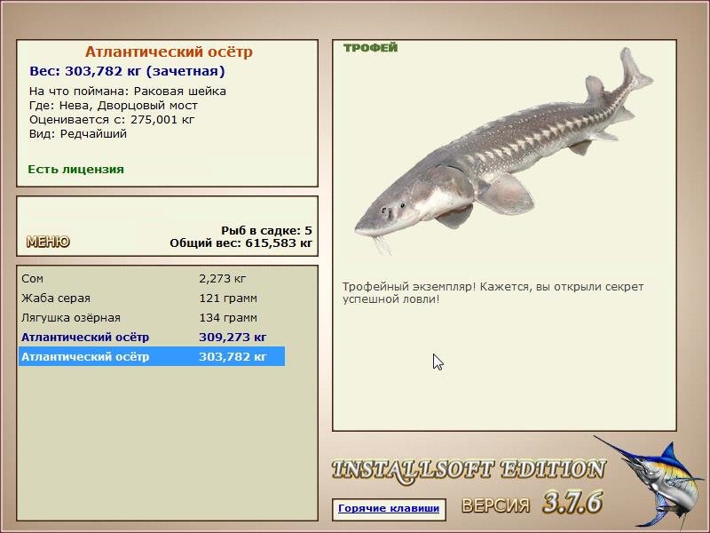 Дворцовый мост 