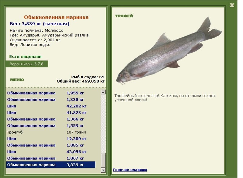 Обыкновенная маринка 