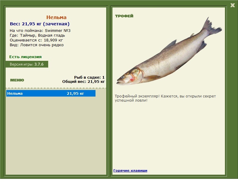 Swimmer 