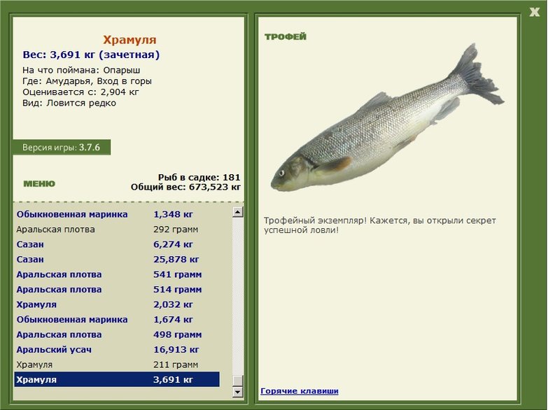 Вход в горы 