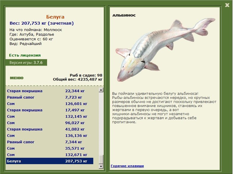 Раздолье 
