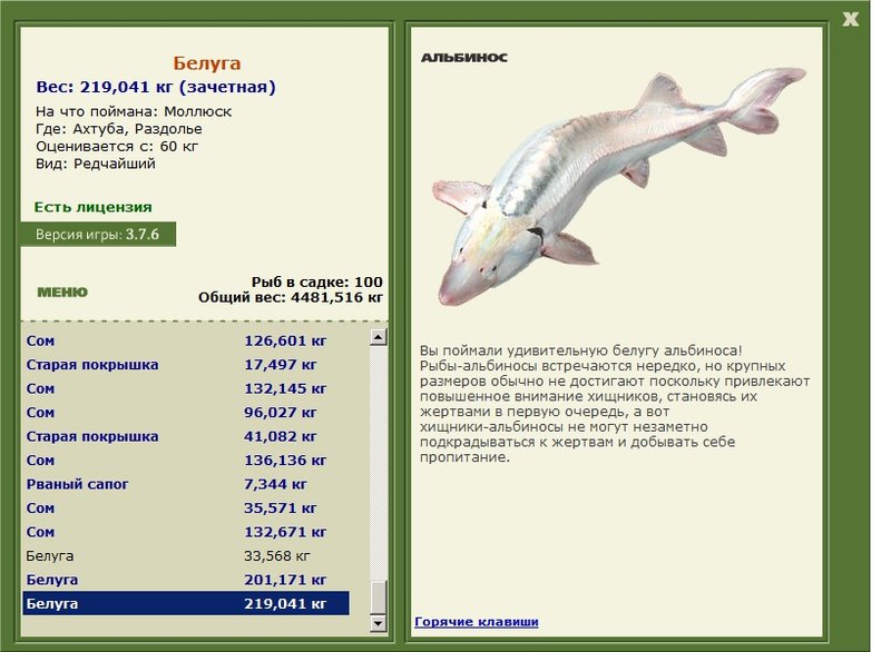 Раздолье 