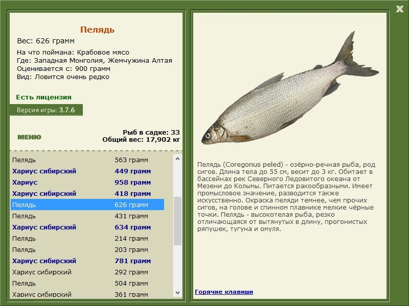 РУССКАЯ РЫБАЛКА Installsoft Edition 