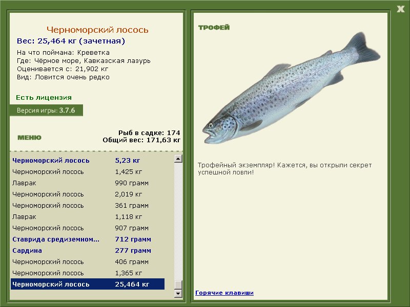 Черноморский лосось 
