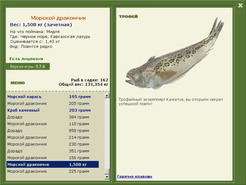 Кавказская лазурь 