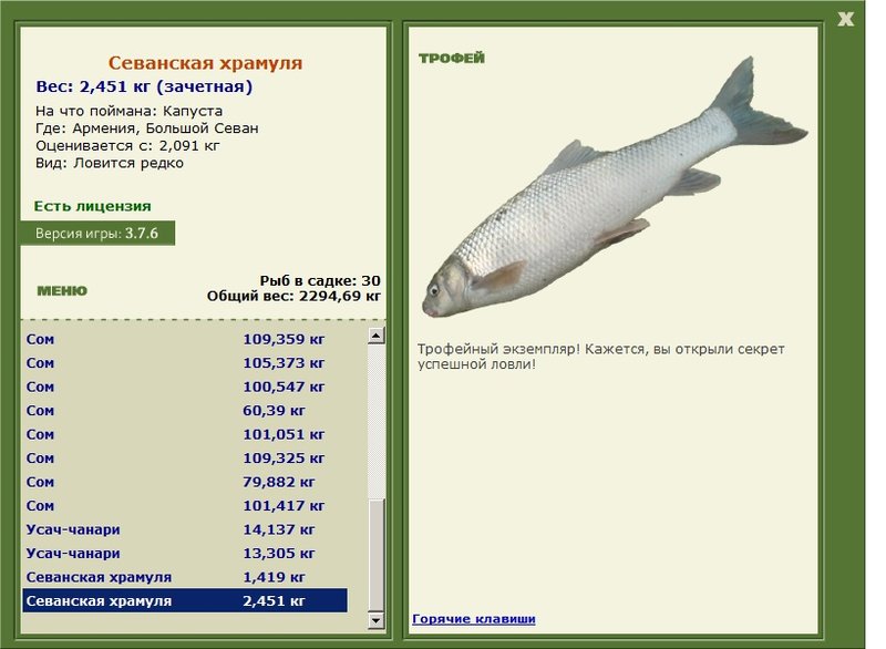 Большой Севан 
