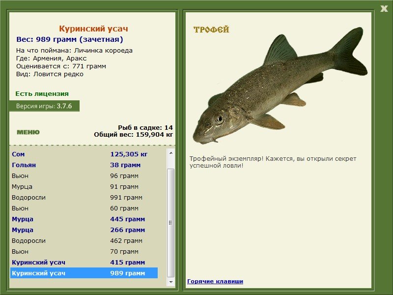 Аракс 