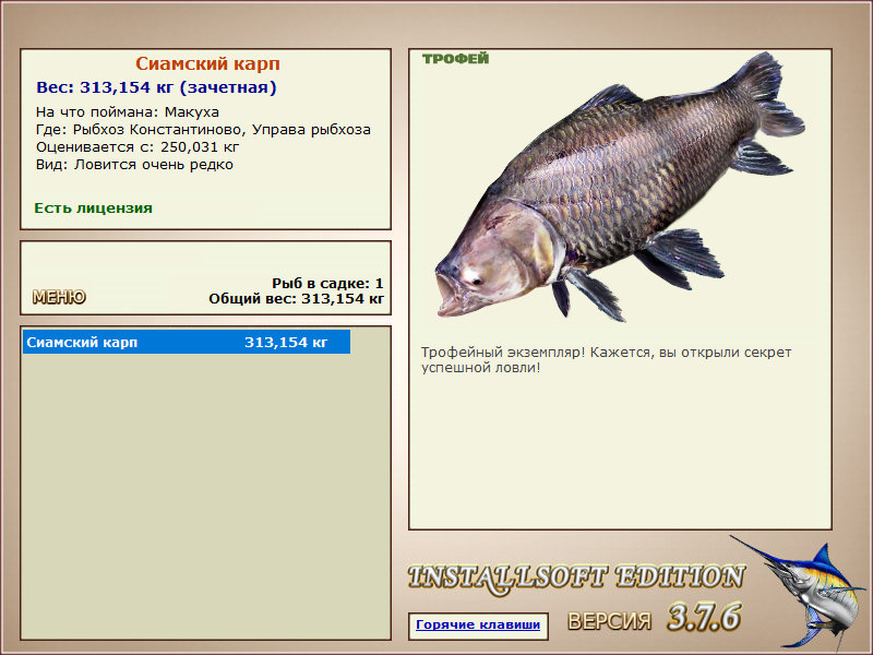 Сиамский карп 