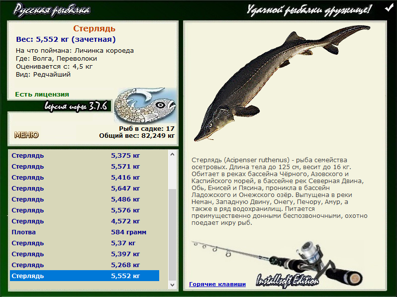 турниры • РУССКАЯ РЫБАЛКА