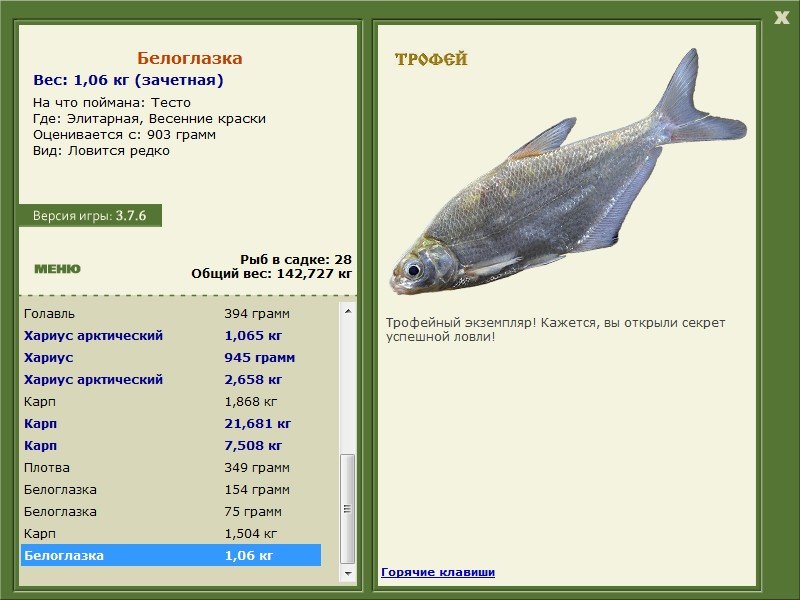 Весенние краски 