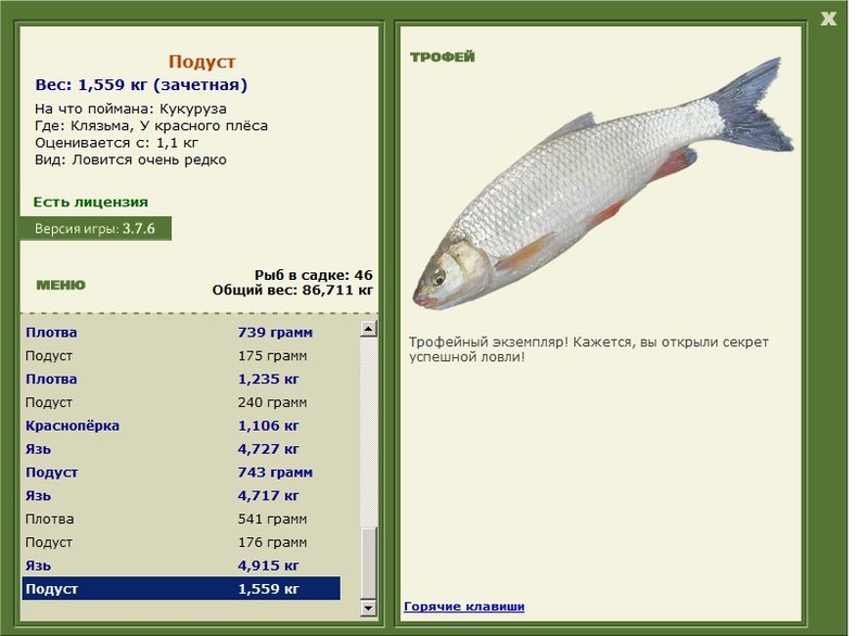 Подуст 