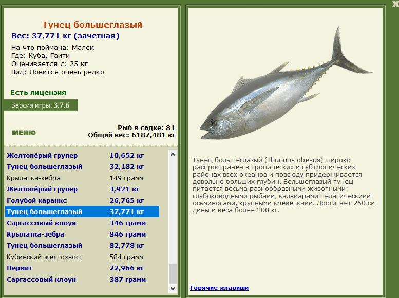 турниры • РУССКАЯ РЫБАЛКА