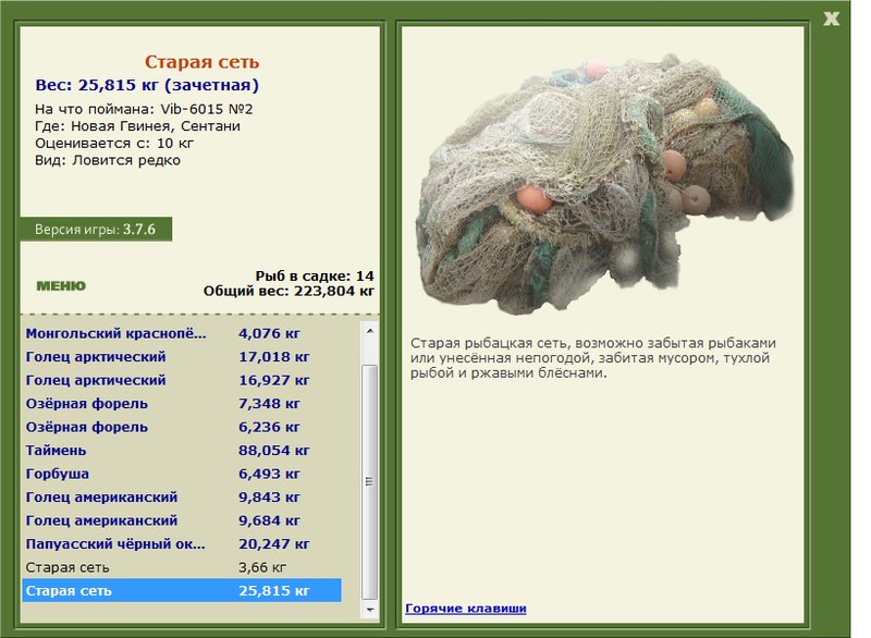 Старая сеть 
