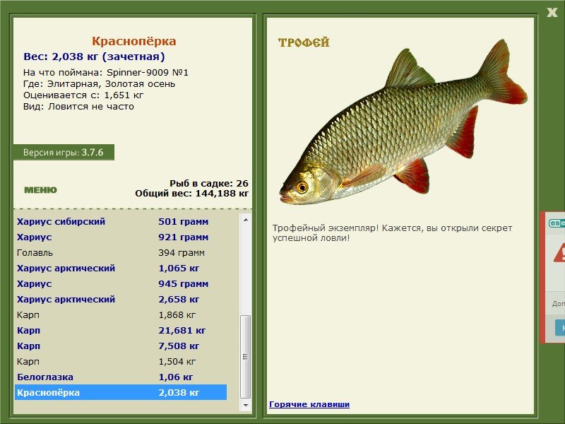 Золотая осень 