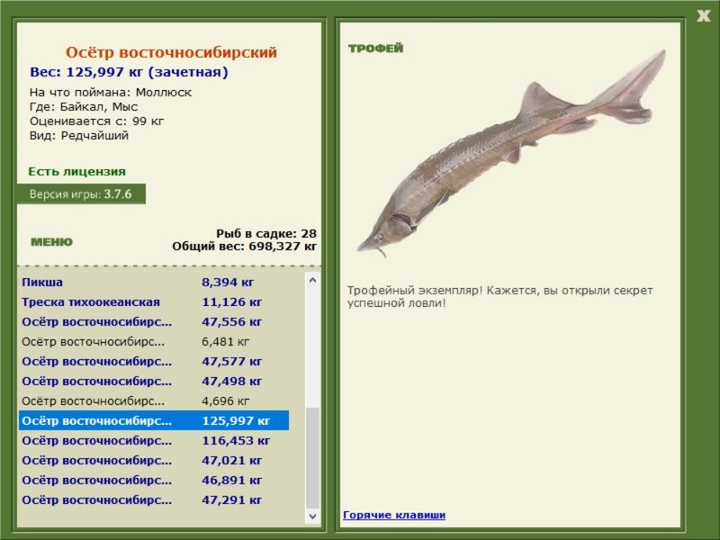 Мыс 