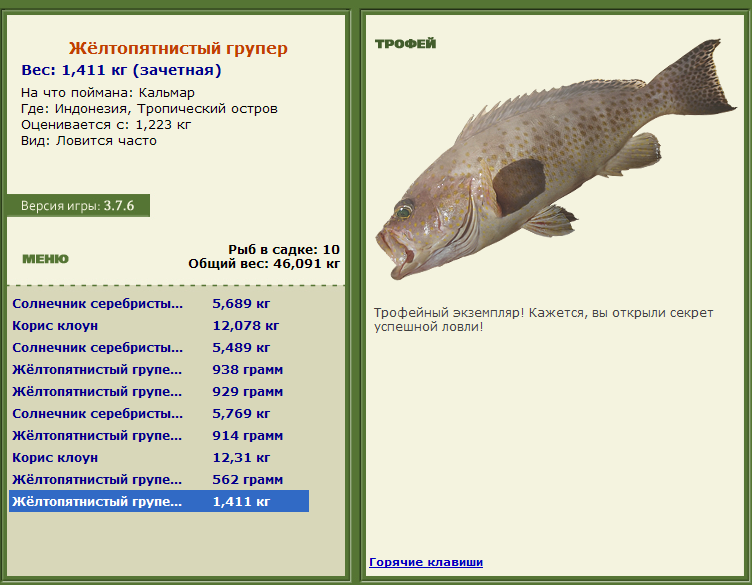 турниры • РУССКАЯ РЫБАЛКА