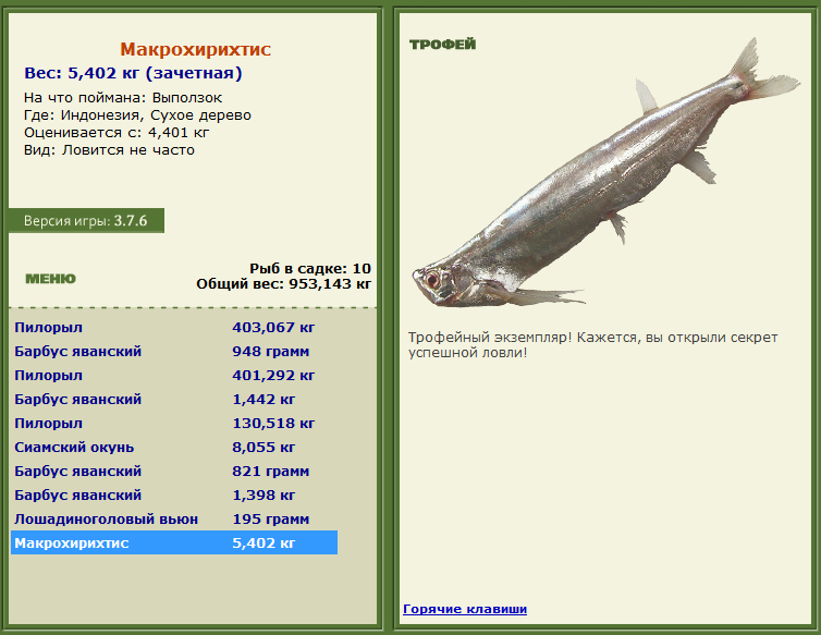 турниры • РУССКАЯ РЫБАЛКА