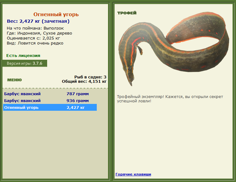 турниры • РУССКАЯ РЫБАЛКА