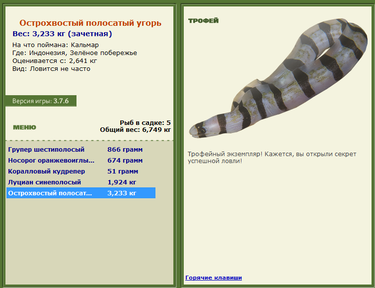 турниры • РУССКАЯ РЫБАЛКА