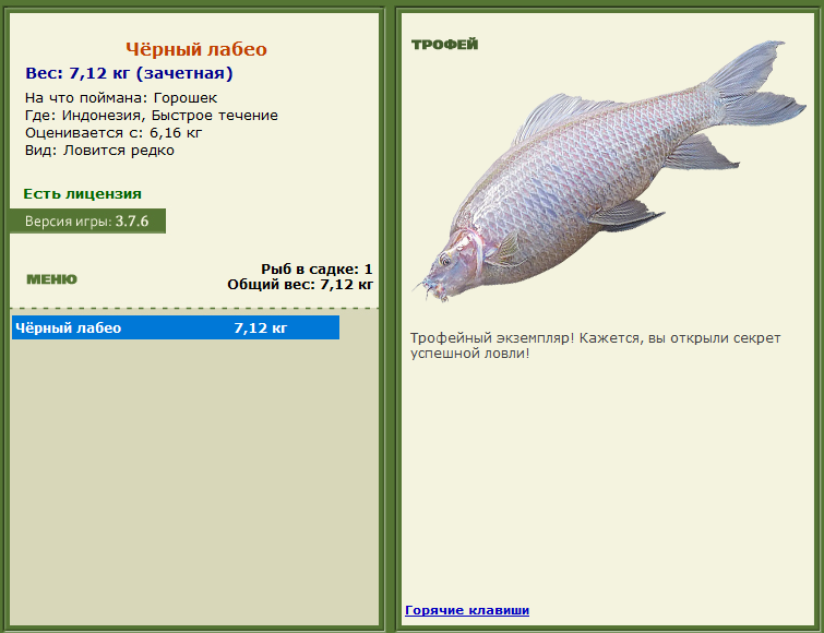 турниры • РУССКАЯ РЫБАЛКА
