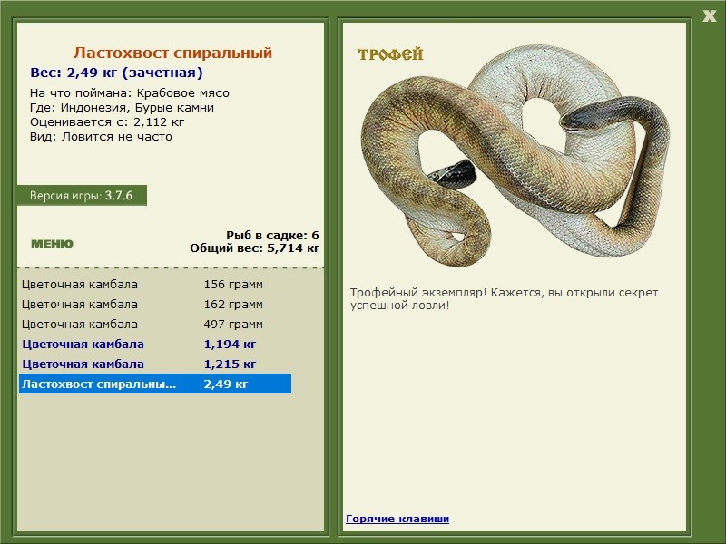 турниры • РУССКАЯ РЫБАЛКА