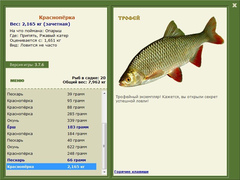 Ржавый катер 