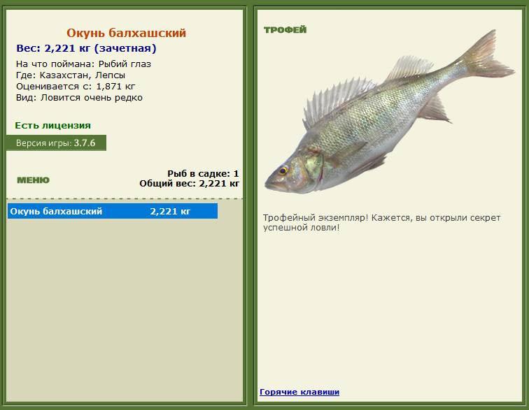 турниры • РУССКАЯ РЫБАЛКА